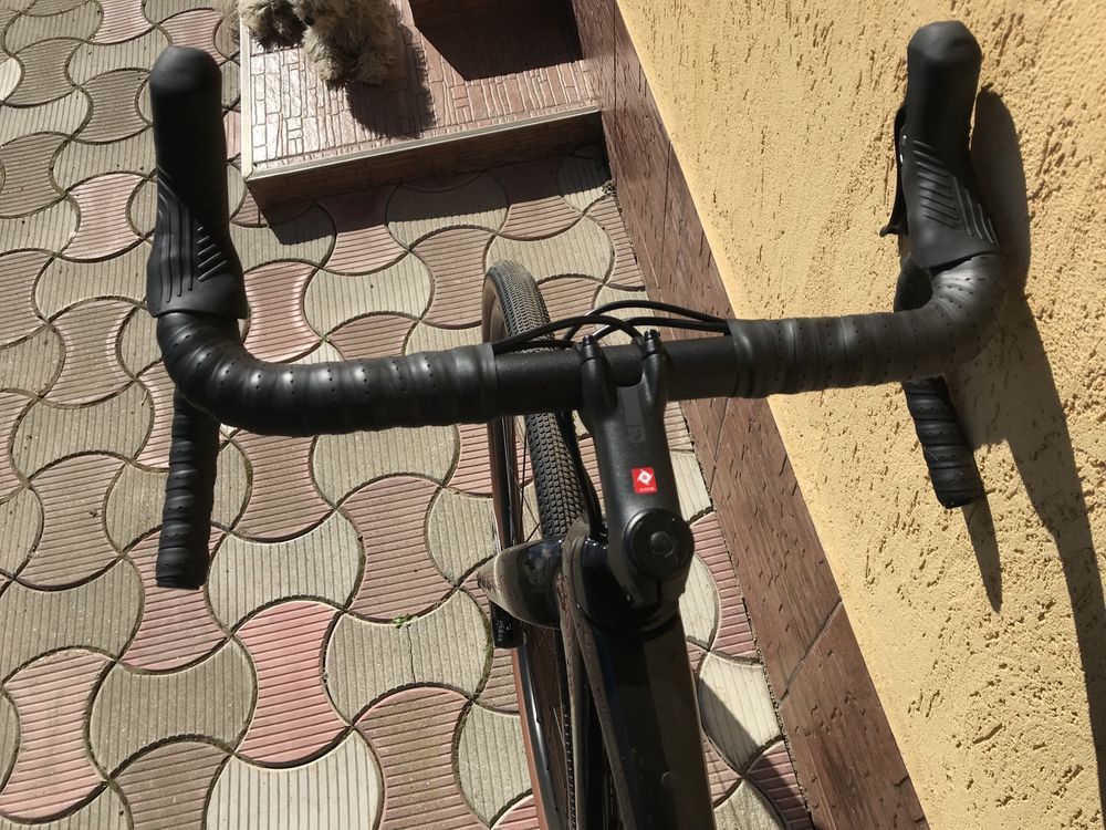 Bicicleta Trek Checkpoint carbon 2024