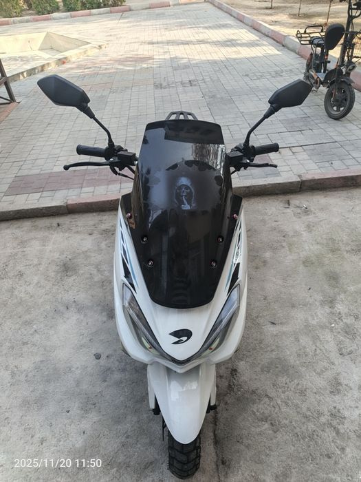 Tiger srochna sotiladi