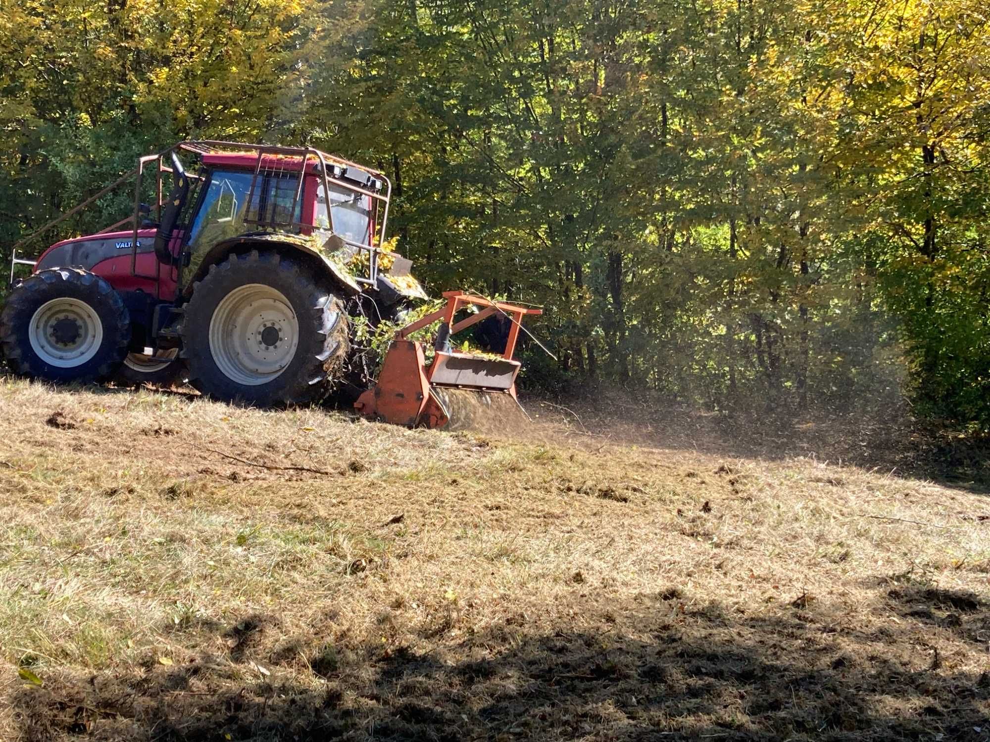 Curatare si defrisare teren industrial, agricol sau rezidential