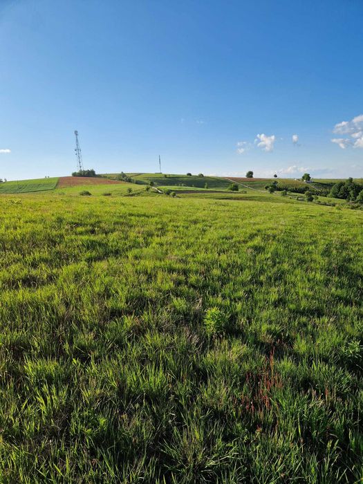 Teren intravilan Sinteu