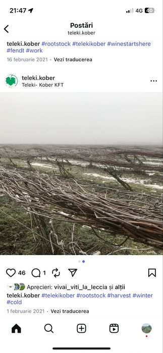 Portaltoi vita de vie