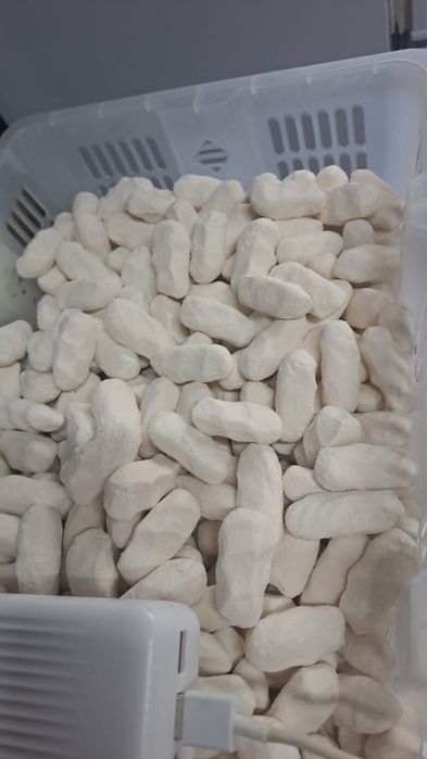 Қолдың құрты бар