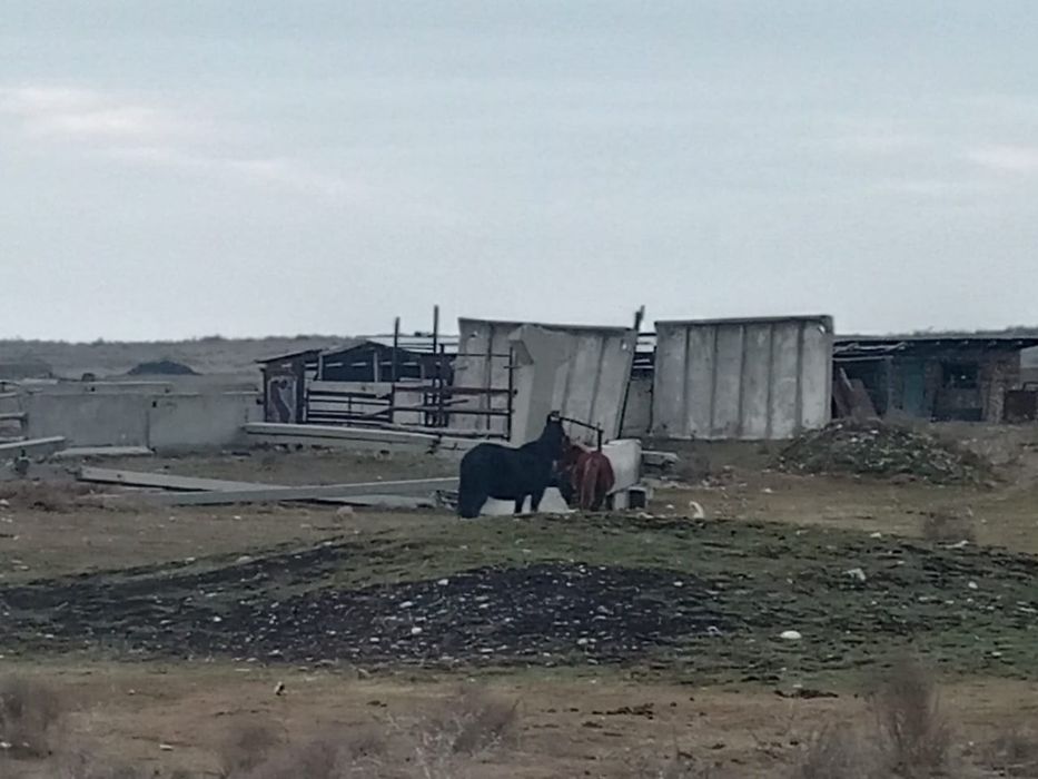 Продается фазенда