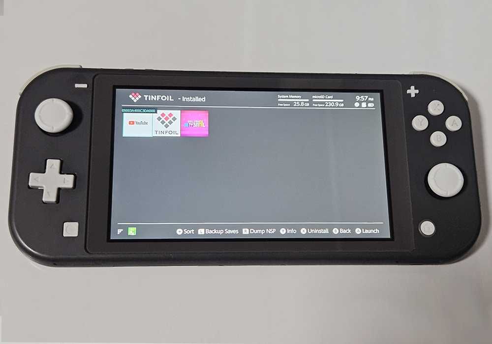 Nintendo Switch Lite + 256 GB SD Card