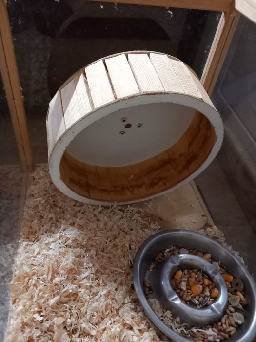 Vând cușcă hamster dimensiune mare