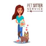 Cat sitter Gherla
