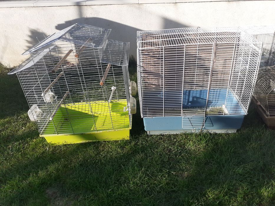 Cuști pentru papagali