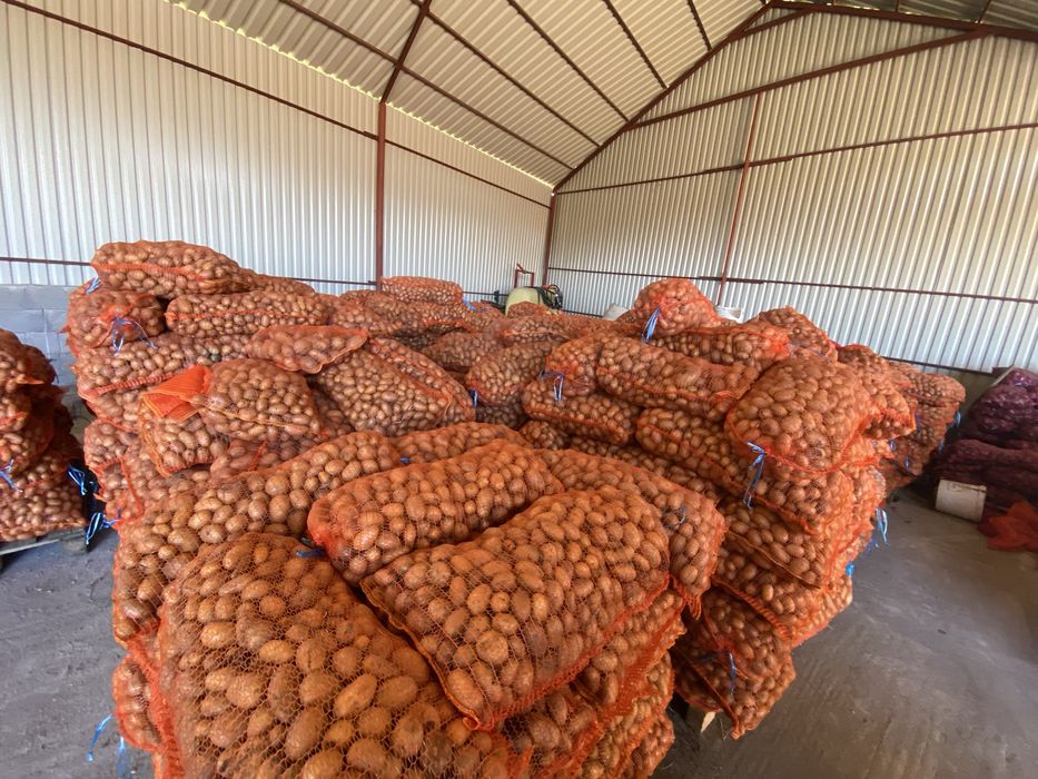 Cartofi pentru animale