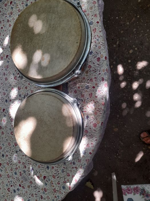 Bongasuri cu suport si bongasuri de lem