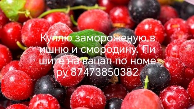 Вишня и смородина