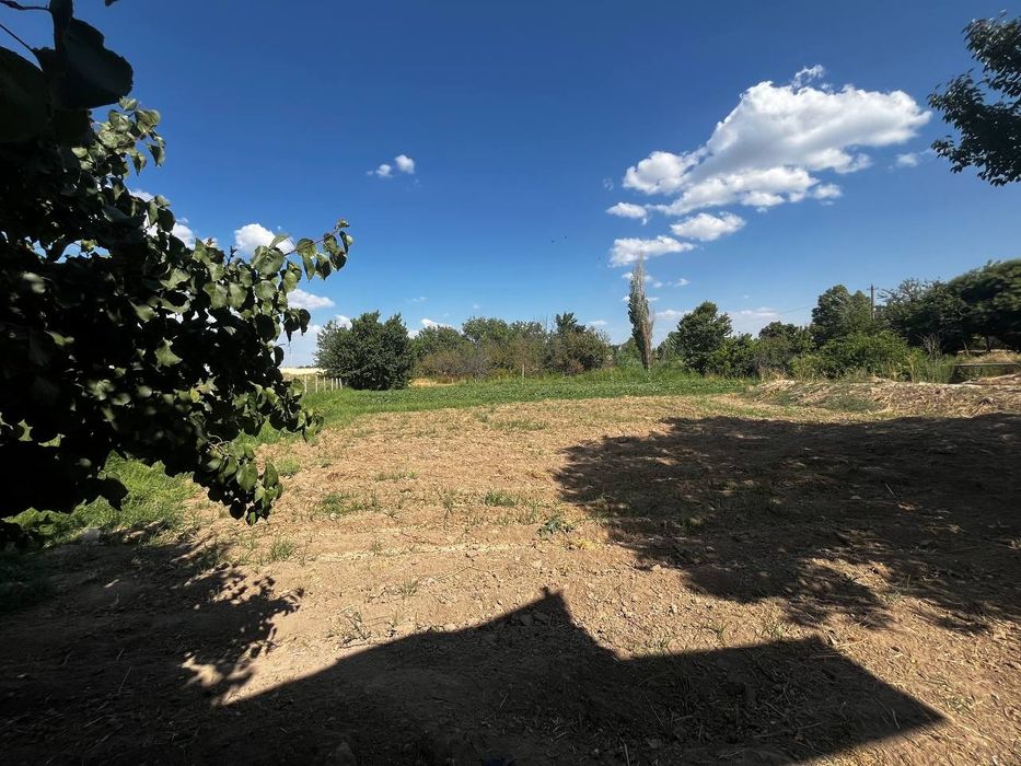 Xovli sotiladi 24 sotik zaxvat joylari bor