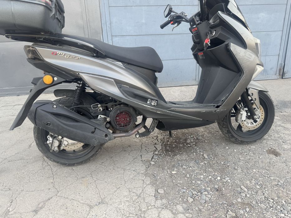 Скутер тайгер