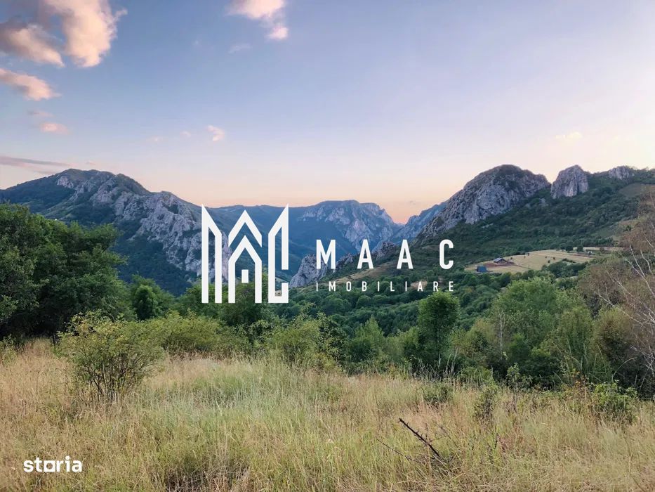 BLACK FRIDAY  I Teren cu potențial turistic I 3174 MP | TransApuseana