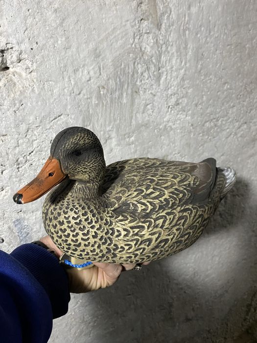 Продам чучела уток.