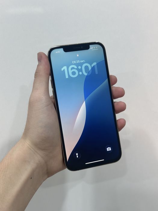 iPhone 12 Pro Max