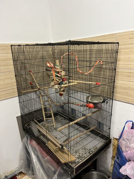 Colivie Voliera papagal