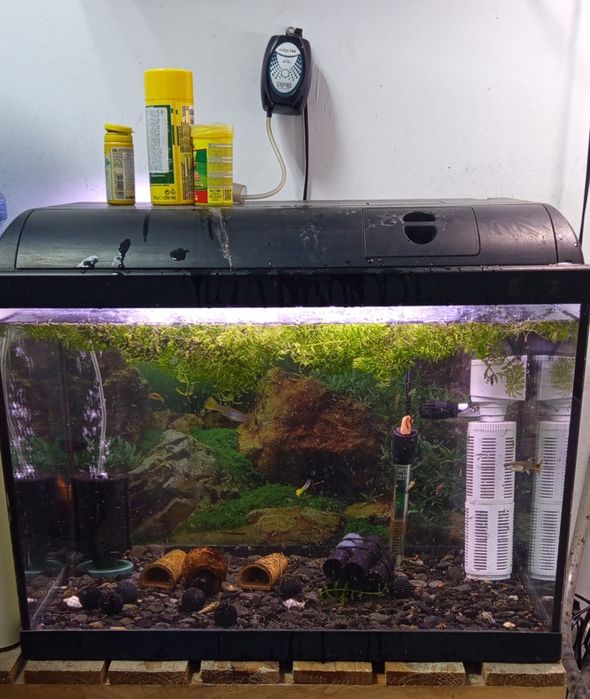 Оборудван 80л. Аквариум