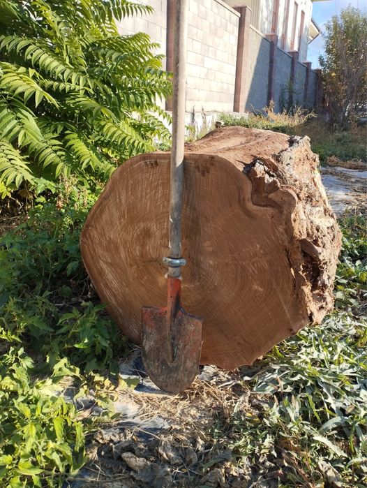 Деревянный сандал