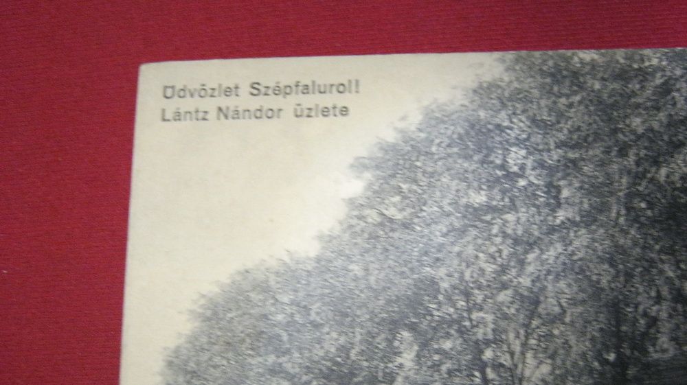 Ilustrata veche,Carte Postala,Szepfalu(Frumuseni),Arad.