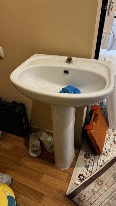 Раковина тюльпан в хорошем состоянии