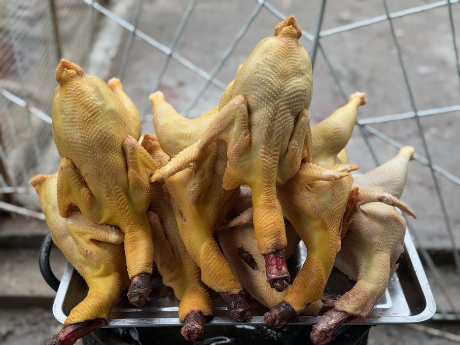 Продаются домашние куры, петушки и утки.