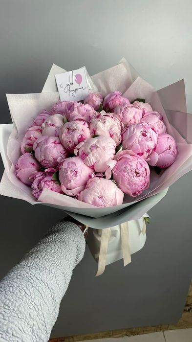 Пионы голландские цветы пионы