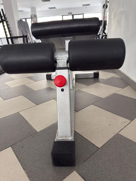 Banca abdomen profesionala (NessFit)