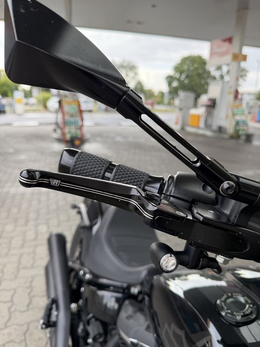 Harley Davidson Fat Bob 114 anul 2021