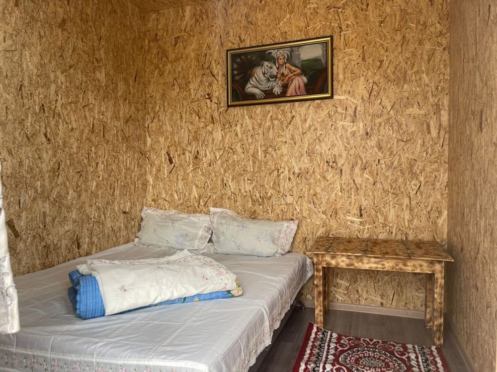 Домики  в  Боровом