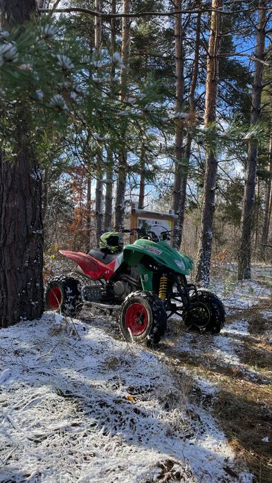 Атв DINLI 450 кубика Castrol Edition