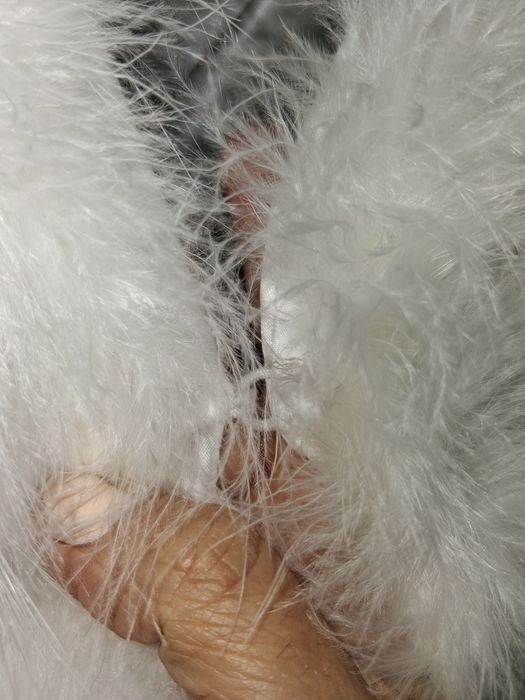 ПОД НАЕМ Пухена официална наметка- БУЛКА, АБИТУРИЕНТКА и др.