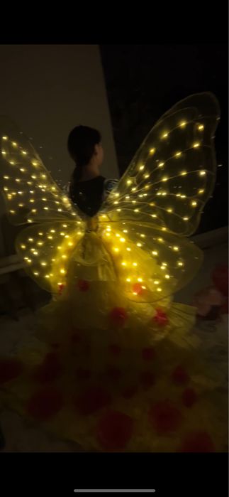 Крылья бабочек очень красивые