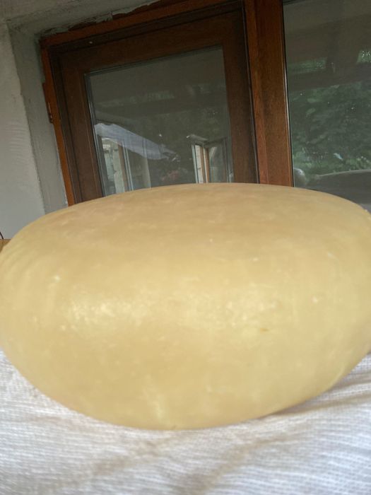 Vând caș de oaie foarte bun!