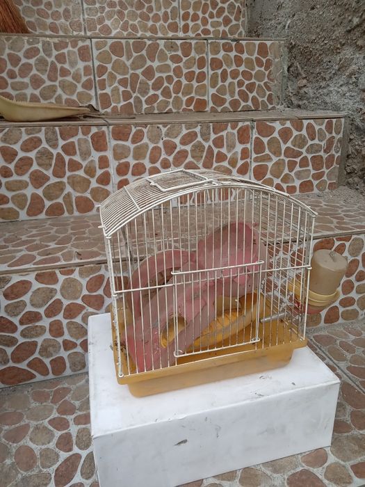 Клетка для хомяка.