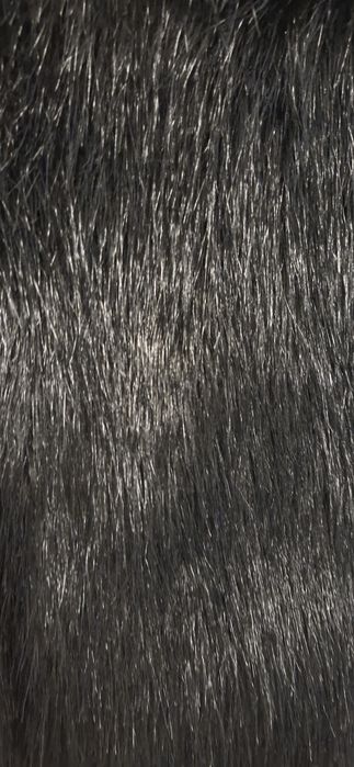 Vesta blanita neagra M