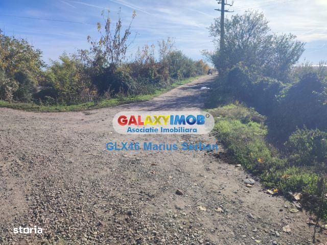 Vanzare teren extravilan Targoviste