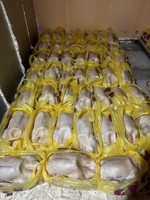 Мясо гуся, гусиный жир, бройлер