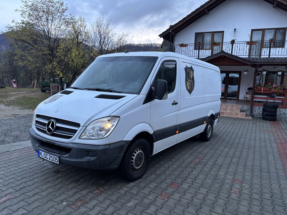 Mercedes sprinter 313