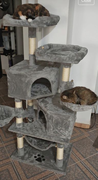 Loc de Joaca Pentru Pisici, 60 x 45 x 150 cm