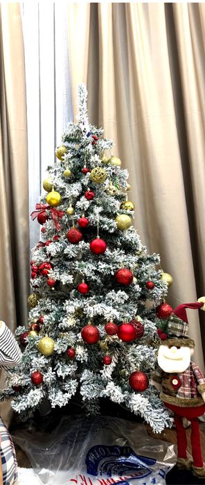 Ёлка без игрушек