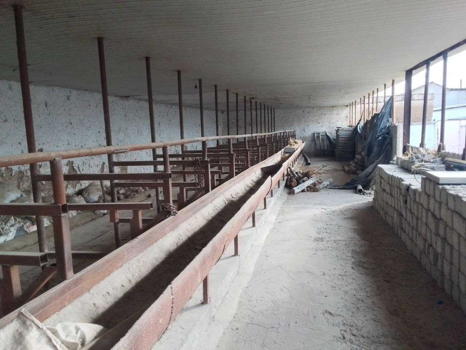 Тошкент вилояти Яангйол туманида 30 сотихди ферма сотилади