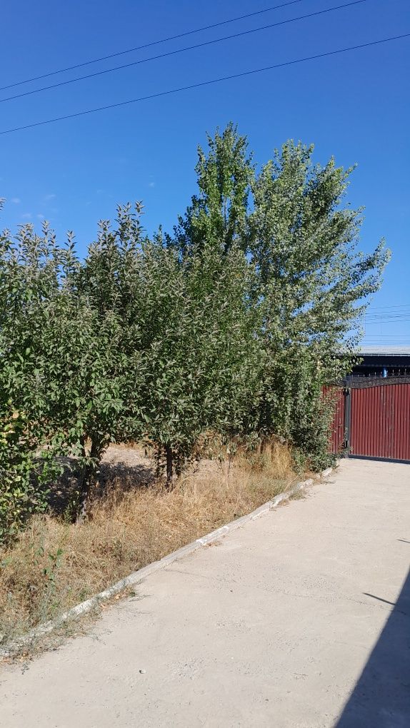 Продается дом уютный в селе Жетысу.Береке...3ком.