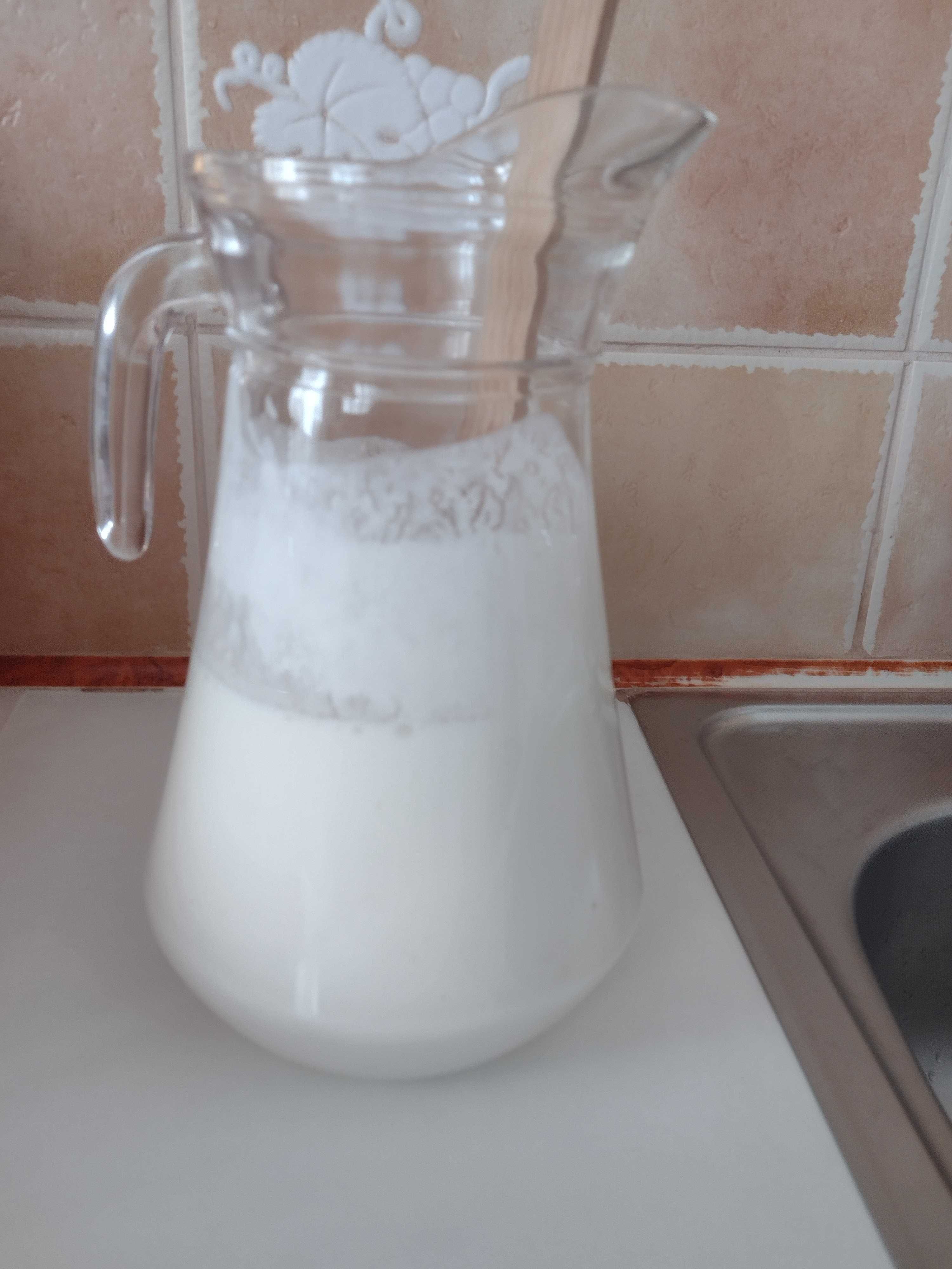Ciuperca de chefir de lapte