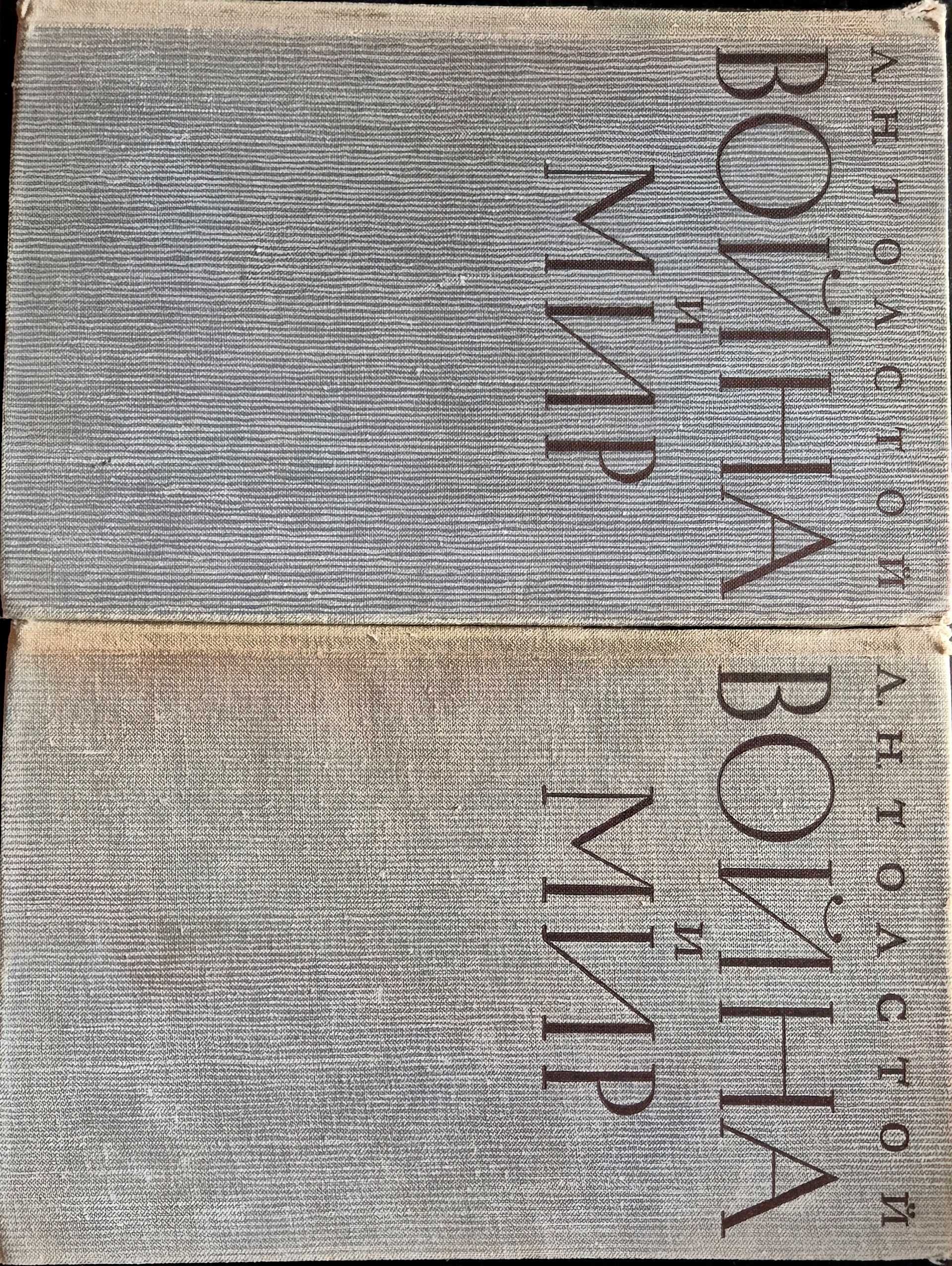 Лев Толстой – Война и мир (2 тома)