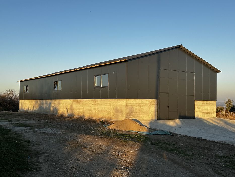 Structuri metalice hale, case.