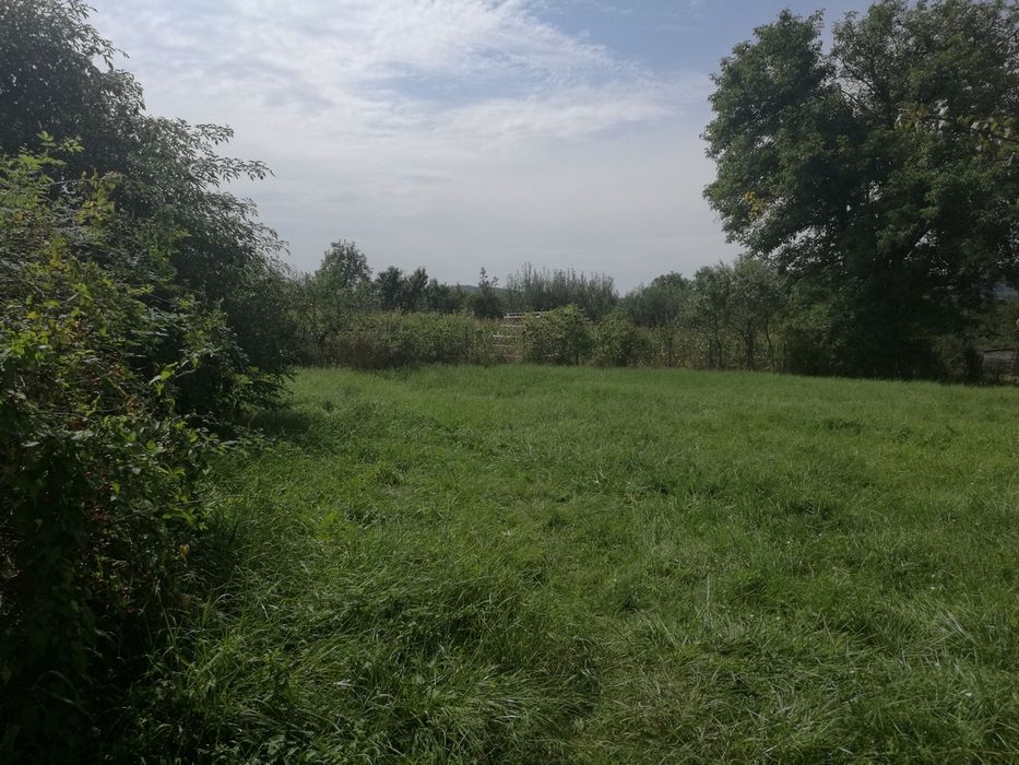 Vând teren Curtea de Arges-Transfagarasan