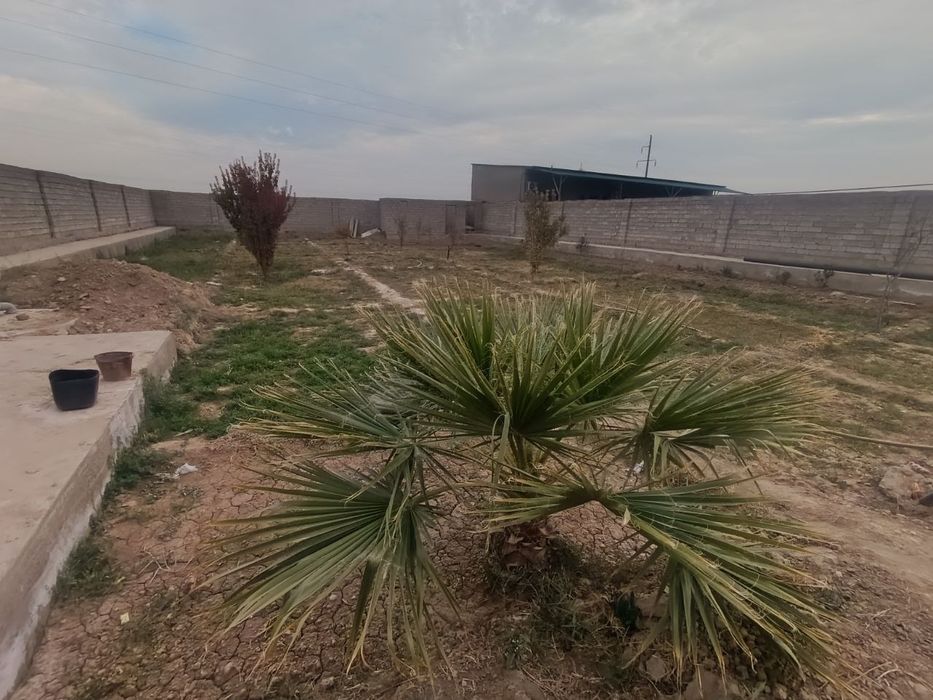 Qarshi xovli 12 sotx