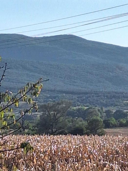 Имот с потенциал в село Гара Елин Пели