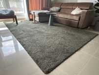 Covor 200x300 verde