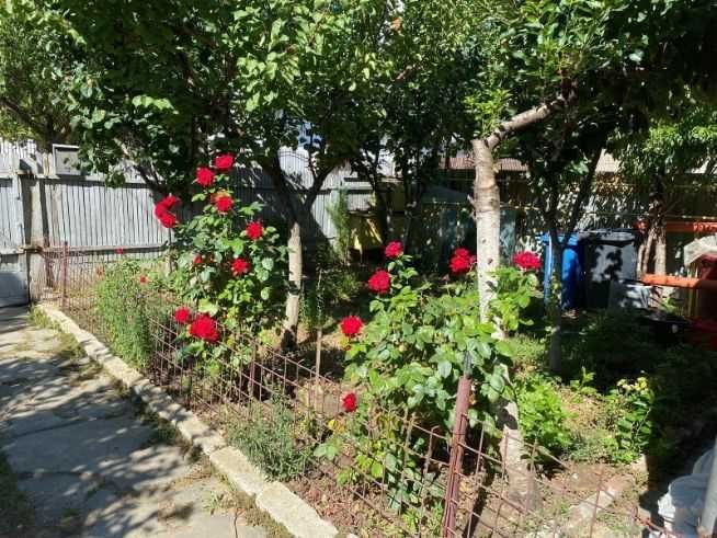 Teren de vanzare in centrul orasului Buzau